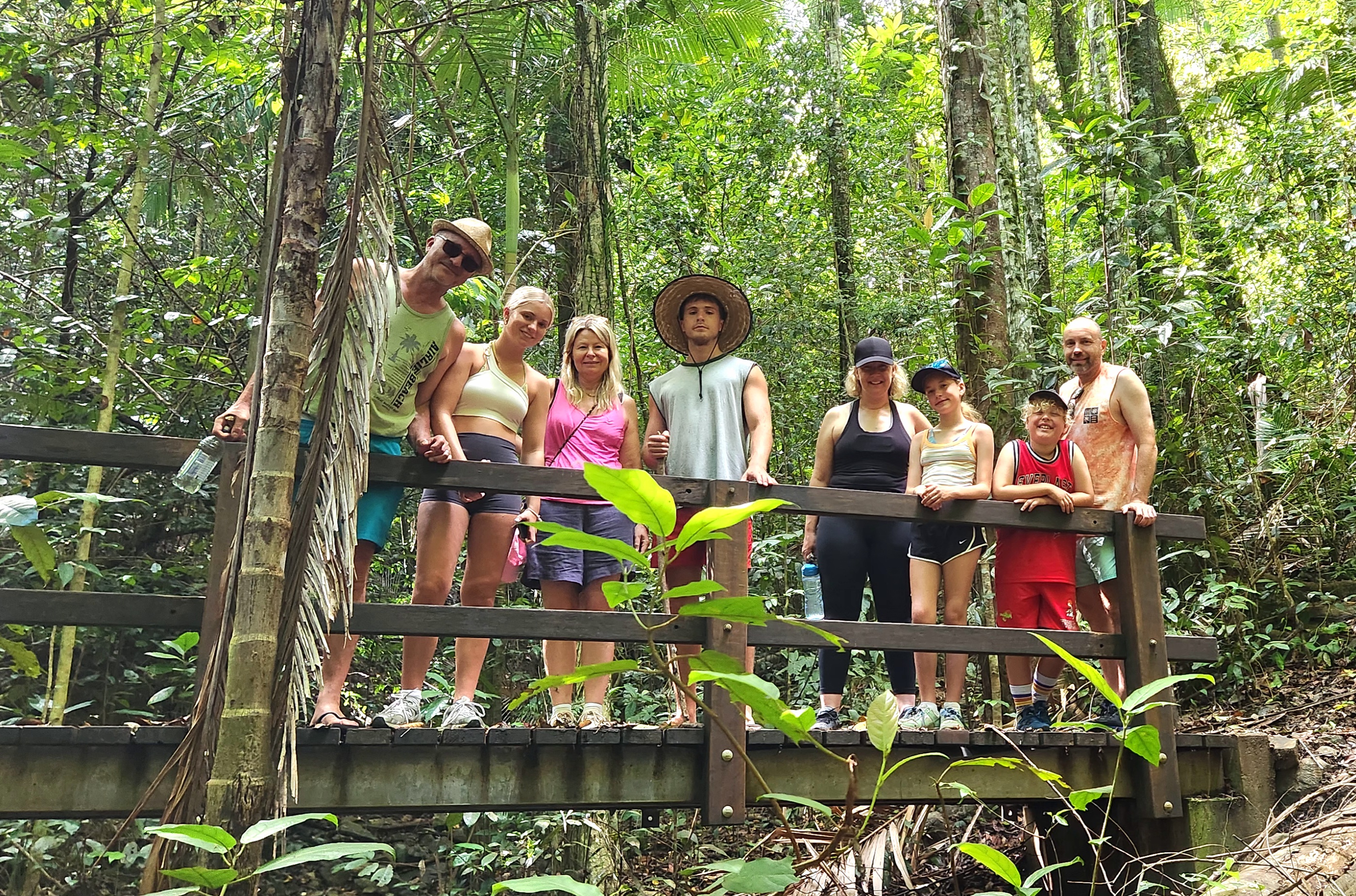 Waterfalls & Rainforest Bushwalk Eco Adventure