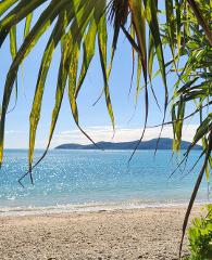 Rainforest to Reef Bushwalking Adventure – Airlie Beach