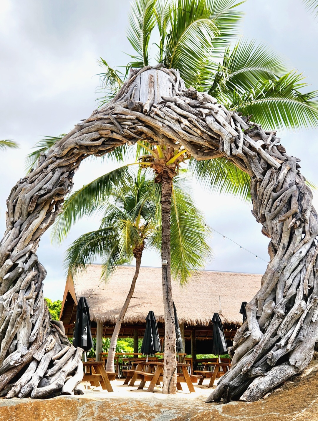 Airlie Beach Explorer- Snapshots, Sights and Highlights