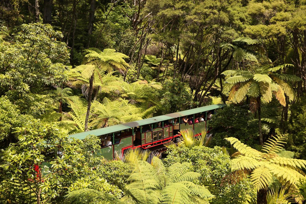 Driving Creek Railway Tours