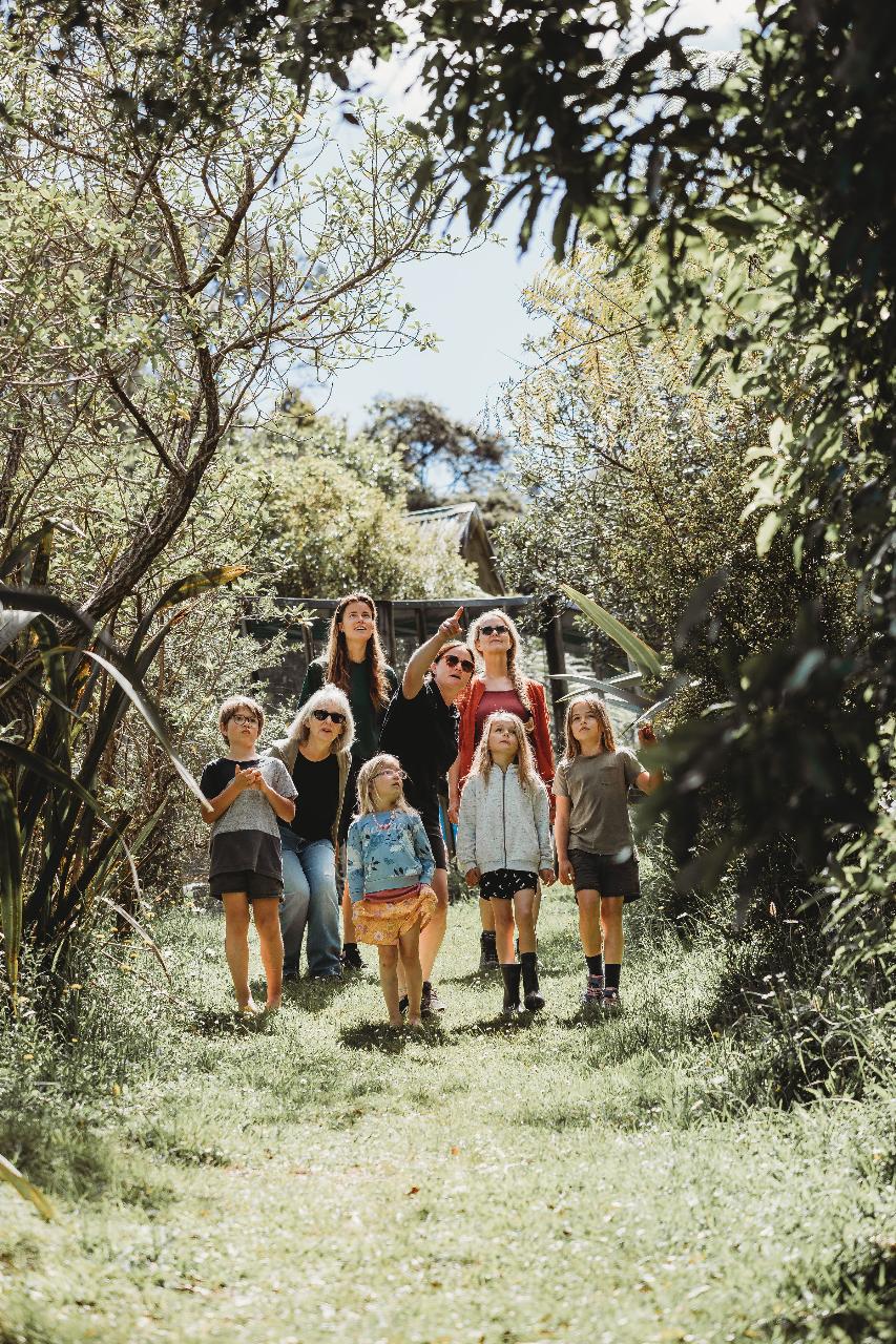 Driving Creek Conservation Tour