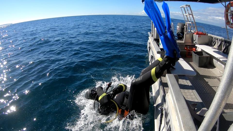 Double Dive - Out of Sydney Harbour