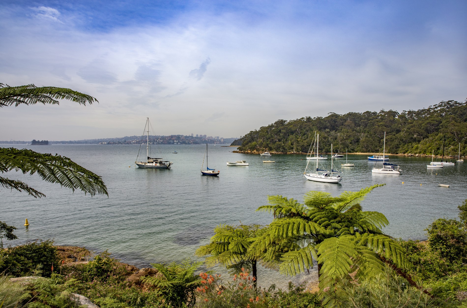 Sydney by Nature, Views and Serenity