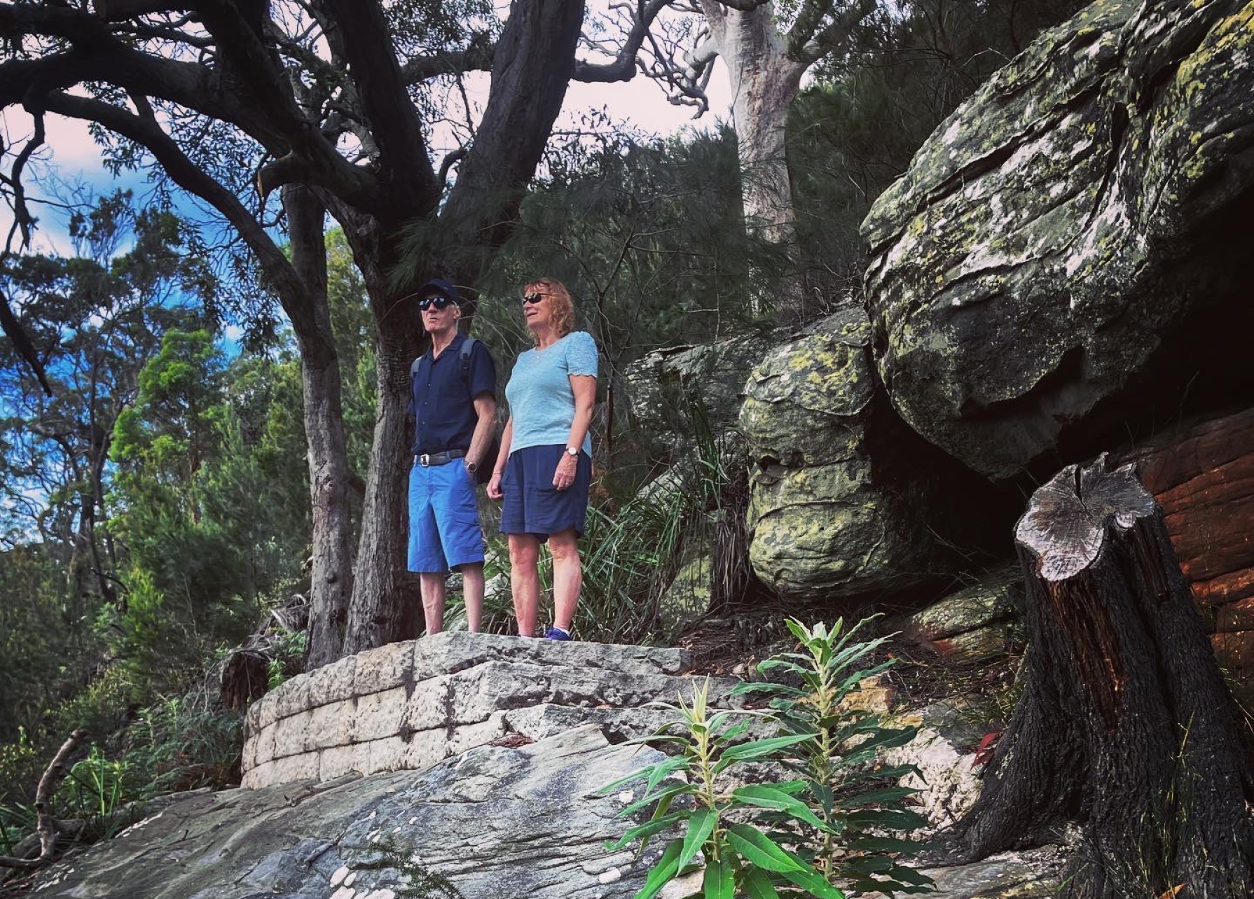 Sydney by Nature, Views and Serenity