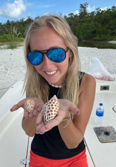 3 Hour Shelling, Dolphin, Cape Romano Dome Home and 10,000 Islands Tour 