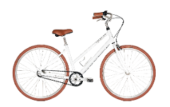 River Cruiser — Hourly Rental