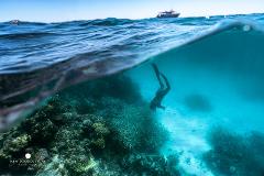 Freediving Course: Level 1 
