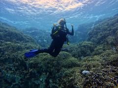 Reef Scuba Discovery - 2 day SDI Course