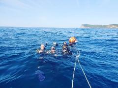 SDI Advanced Adventurer with Deep Diver Course (3 days)