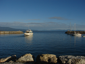 6 night  Marlborough Sounds cruise