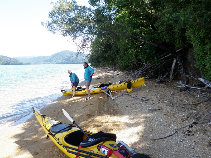 Half Day Guided Sea Kayak - Queen Charlotte Sound