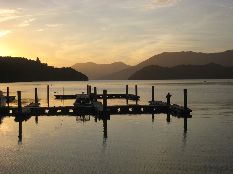 5 Day Freedom Walk - Queen Charlotte Track, 4 days walking with 1 rest day.