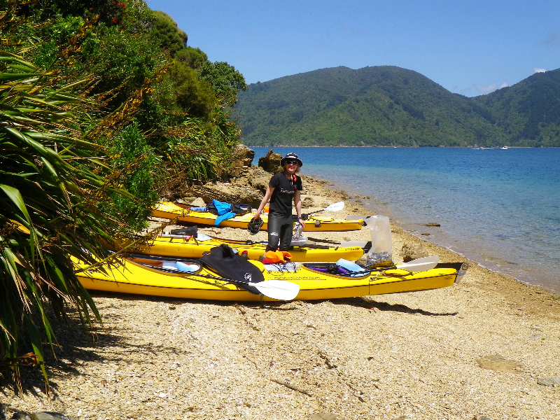 Sea Kayak Rental - One & Multi Day