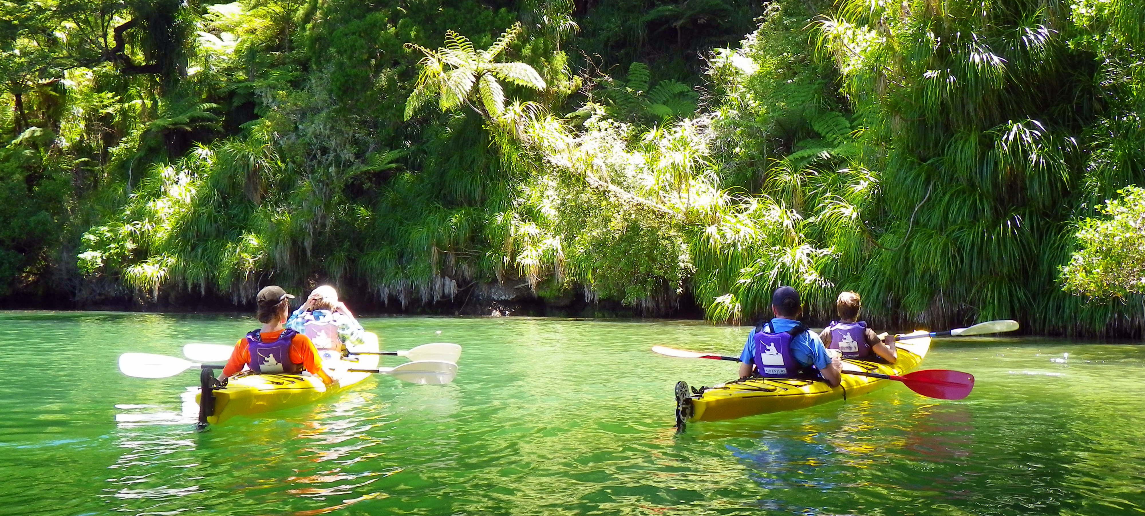 Winter 1 Day Guided Sea Kayak - Queen Charlotte Sound