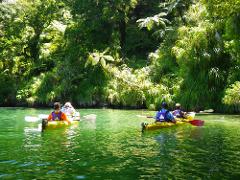 4 Day Freedom Paddle & Walk - Queen Charlotte Track