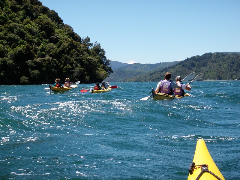 Sea Kayak Rental - Half Day