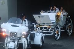 "Carriage me away, dear" Wedding Car Hire 