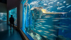 A Coruña Shore Excursion City Highlights & Aquarium Finisterrae