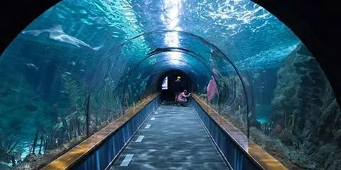 Aquarium_Finisterrae__5_