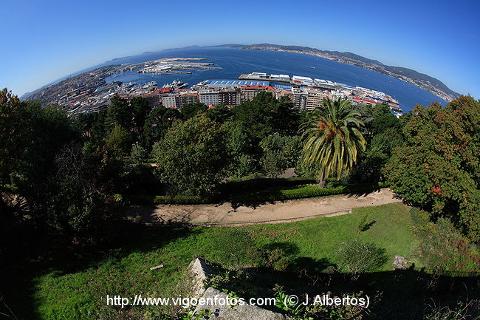 Vigo__10_