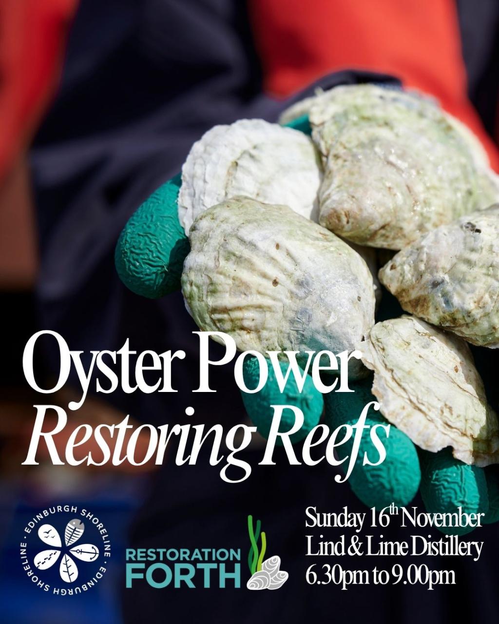 Oyster Power: Restoring Reefs