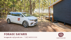 Private Driver transfers