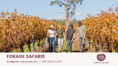 Full Day - Food, Farm and Wine tour