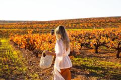 McLaren Vale Wine Tour