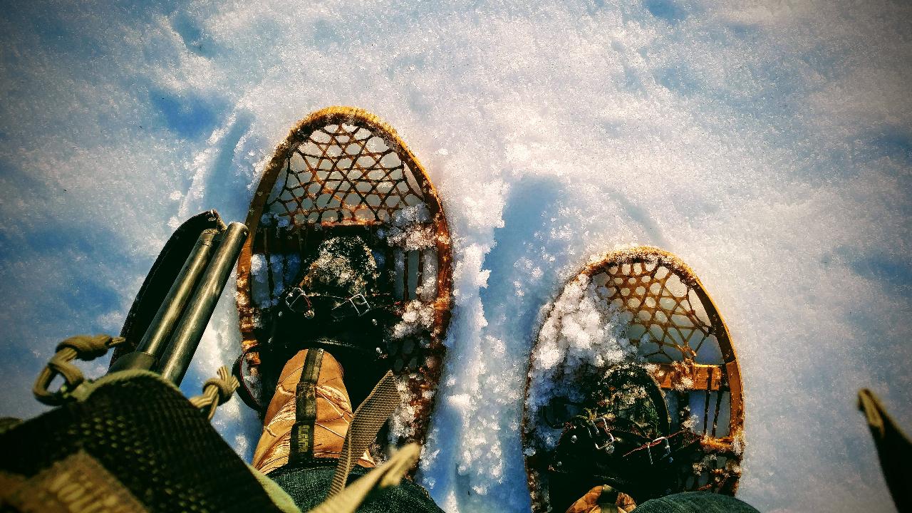 Snowshoe Tour