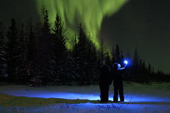 Chase the Aurora Tours - Single Evening