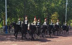 The Highlights of Royal London Tour