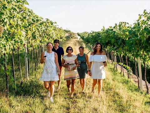 WhatsApp_Image_2025_10_14_at_11.05.51