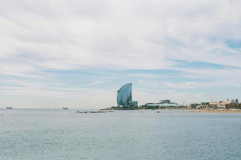 pexels_alinaskazka_16050835