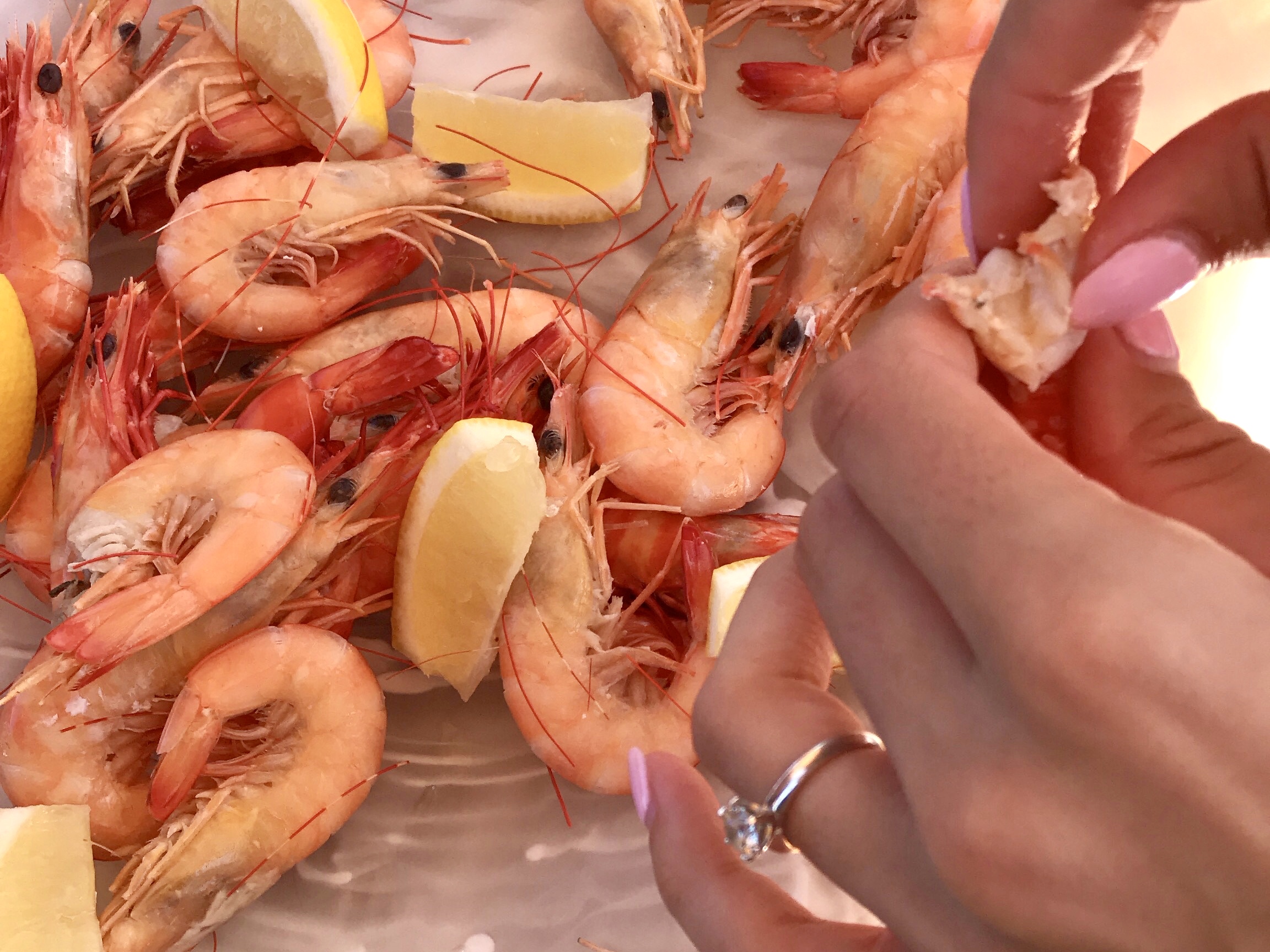 Lunchtime Sailing Cruise (All Inclusive)