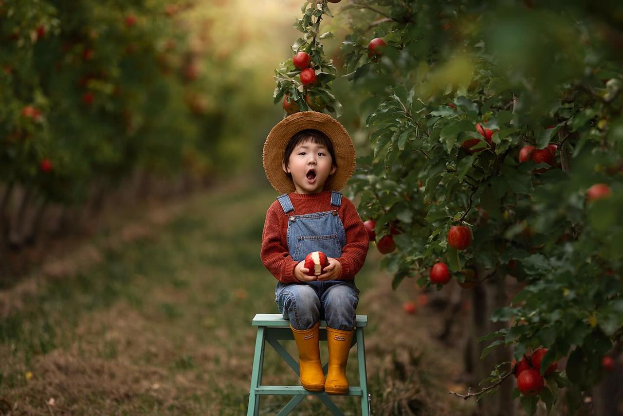 Apple Orchard Photography Session in the Adelaide Hills Including Apple Picking Family Package