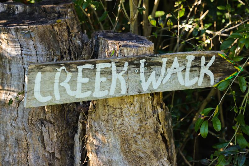 Bangalow Bush Tucker Tour