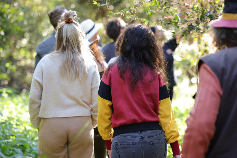 Bangalow Bush Tucker Tour