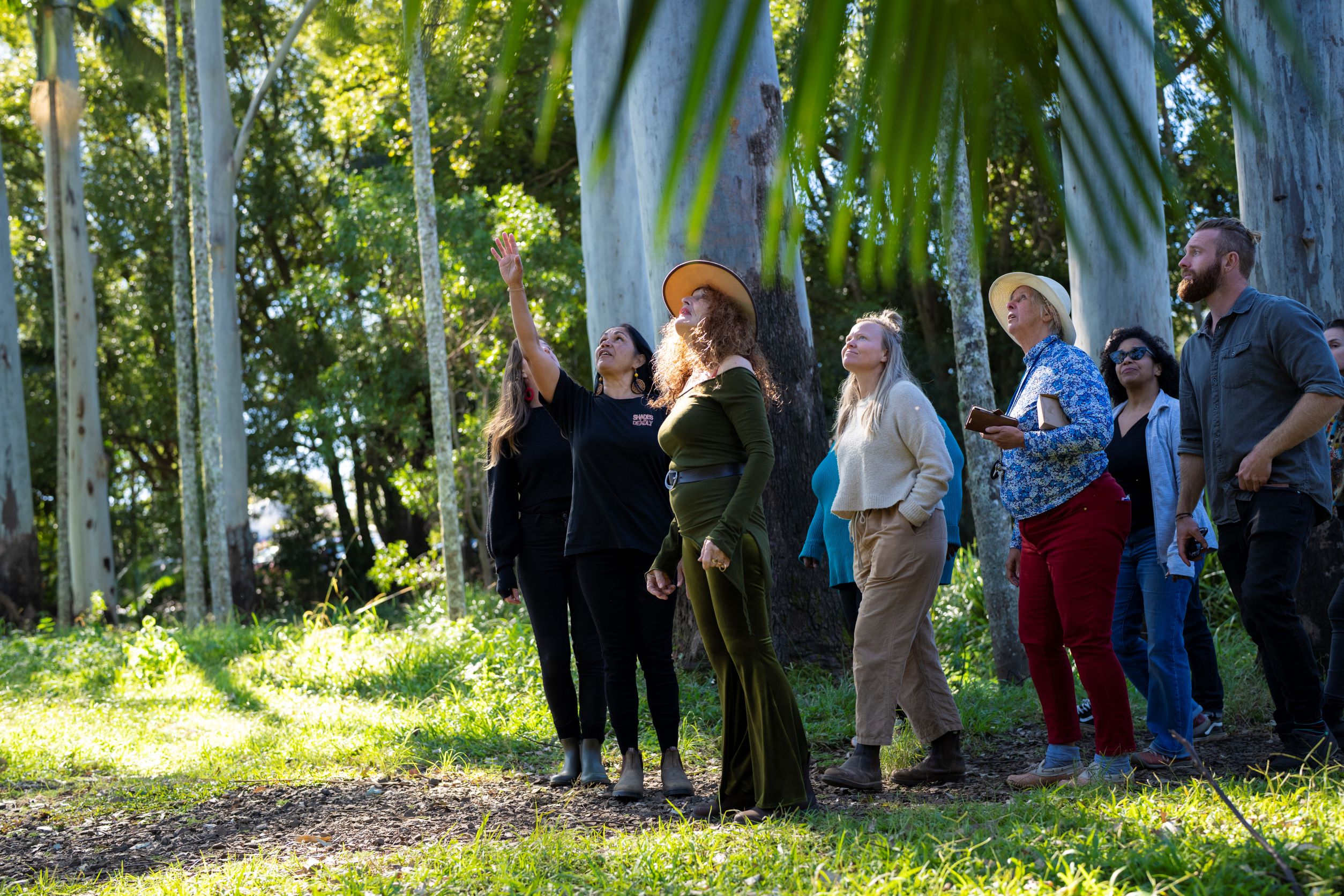 Bangalow Bush Tucker Tours