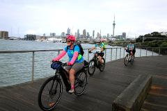 Auckland 1/2 day ebike tour