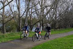 Te Awa Waikato Explorer (Group Special)