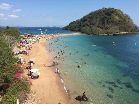 Taboga island Beach Tour