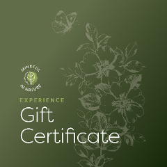 Gift Certificate