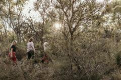 Forest Bathing (Shinrin yoku) Experience in Kings Park: Reconnect with Nature and Yourself
