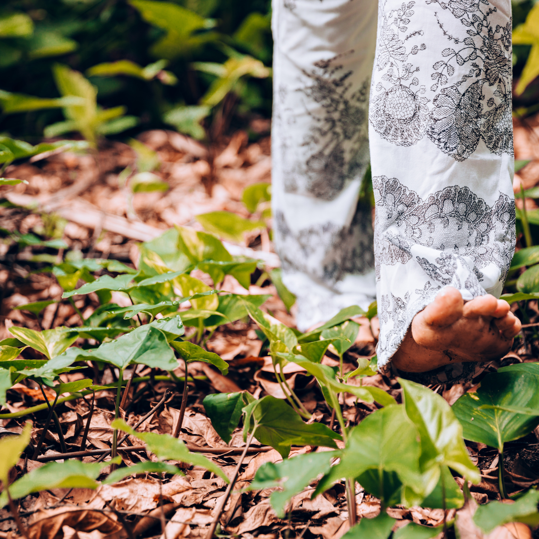 Forest Alchemy Day Retreat in Beelu National Park