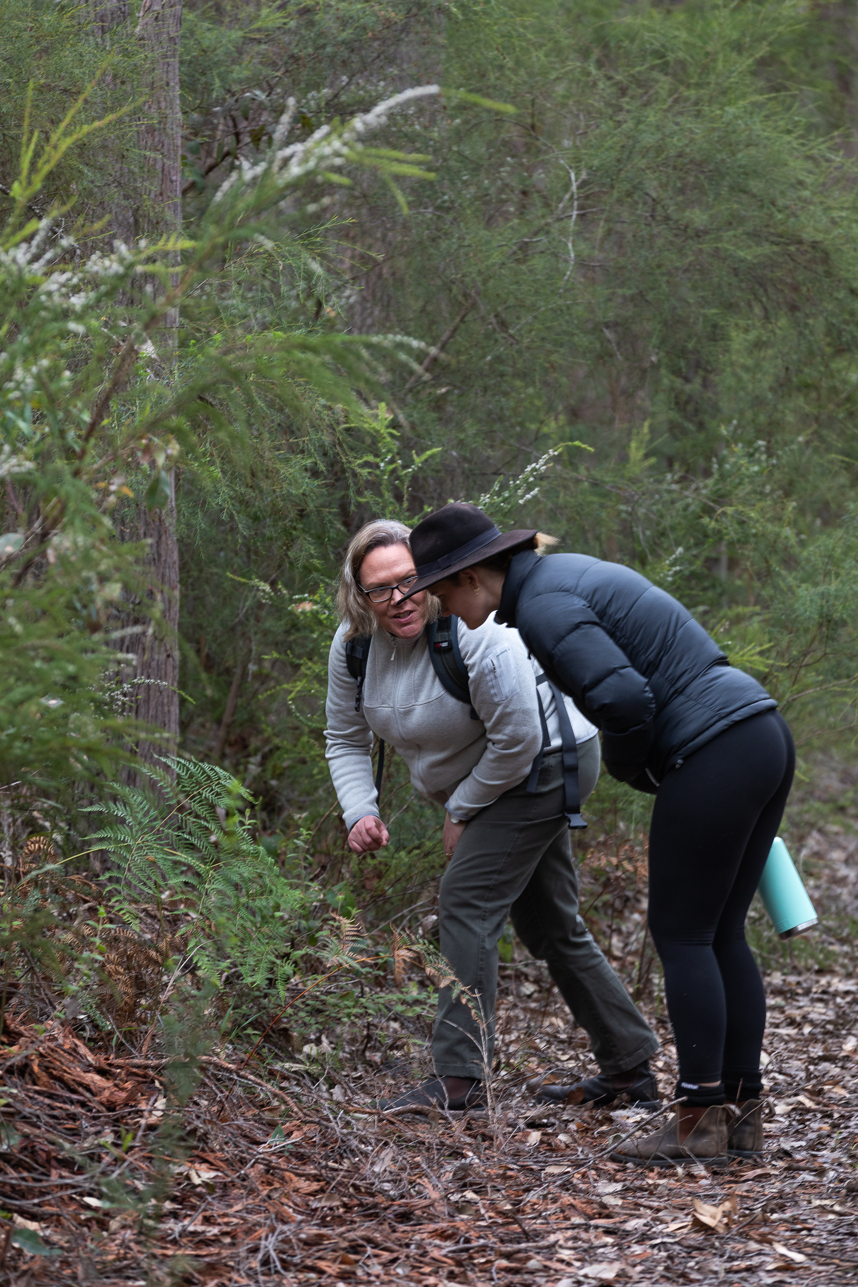 Forest Bathing Margaret River
