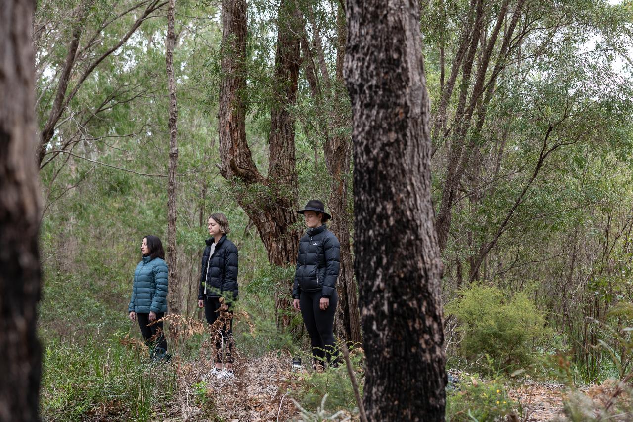 Forest Bathing Margaret River