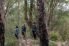 Forest Bathing Margaret River