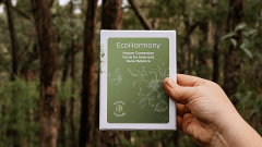 EcoHarmony Nature Connection Cards