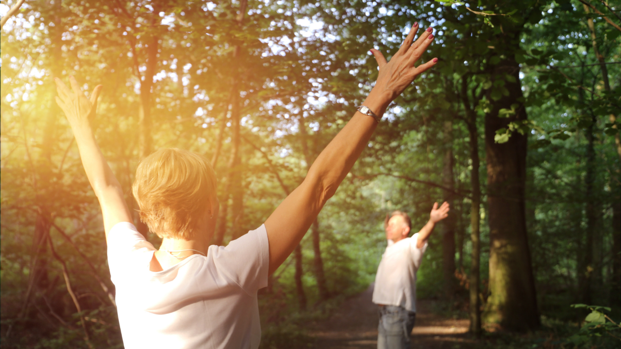 Corporate and Group Forest Therapy (Shinrin-yoku)