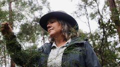 Coaching with Nature Course: A Path to Presence, Insight, and Transformation (Online)